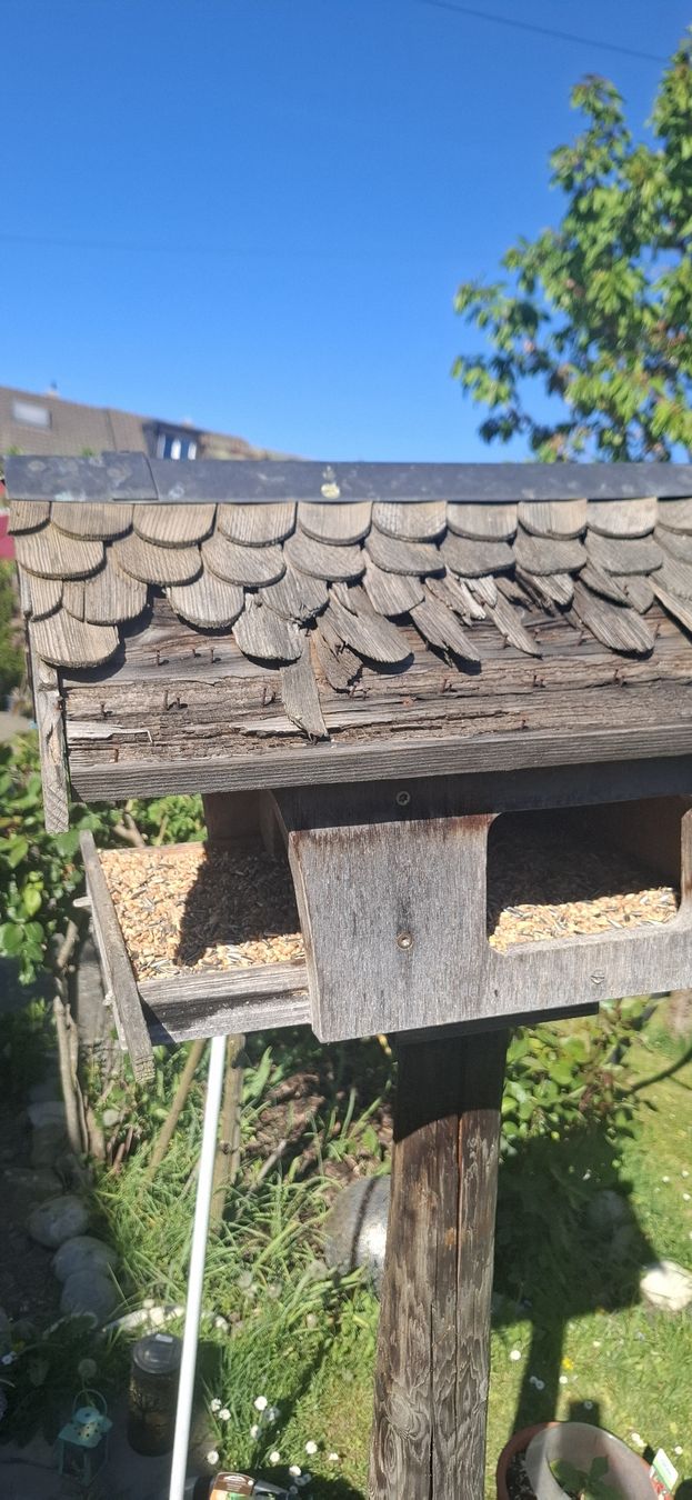 Casette per uccelli: Grosses Vogelhaus – Usato da Suhr venduto da Design_by_Debi 1
