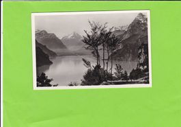 Vierwaldstättersee mit Bristen
