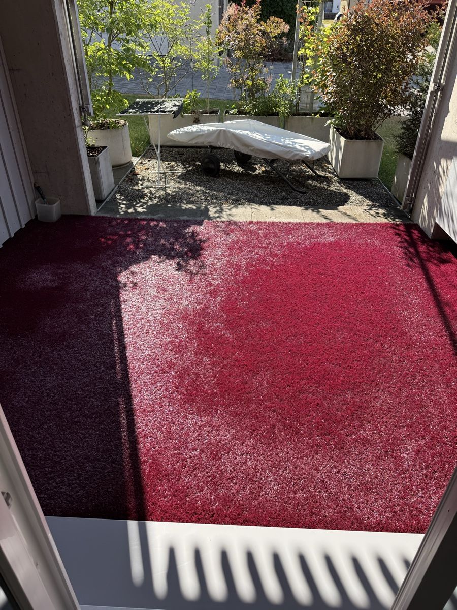 Tapis: Qualitäts Rasenteppich TISCA TIARA – D'occasion à Märstetten par Lehnik