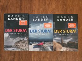 Karen Sander: Der Sturm