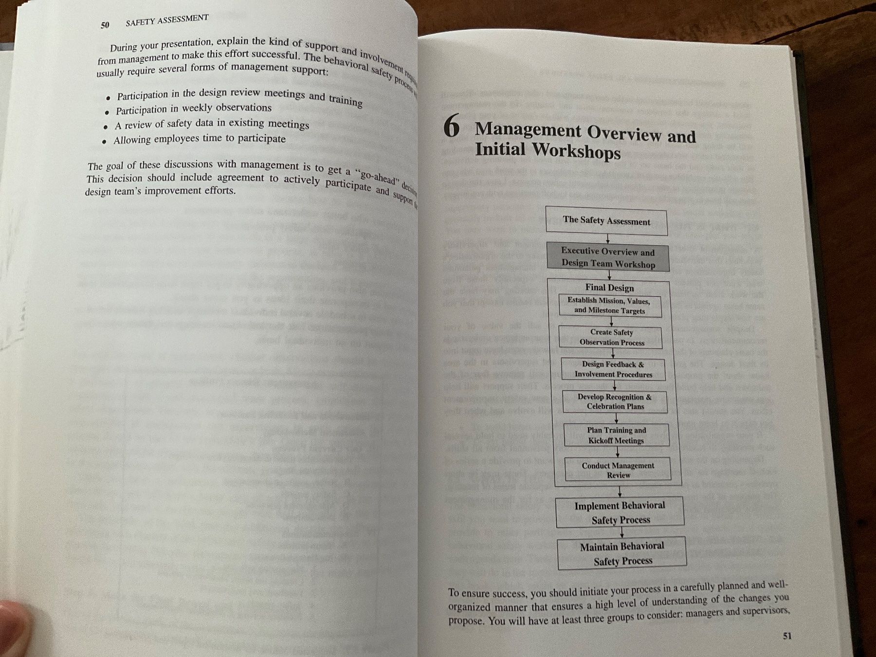 Libri: The Values-Based Safety Process Terry McSween – Usato da Avenches venduto da Lactobacille 2