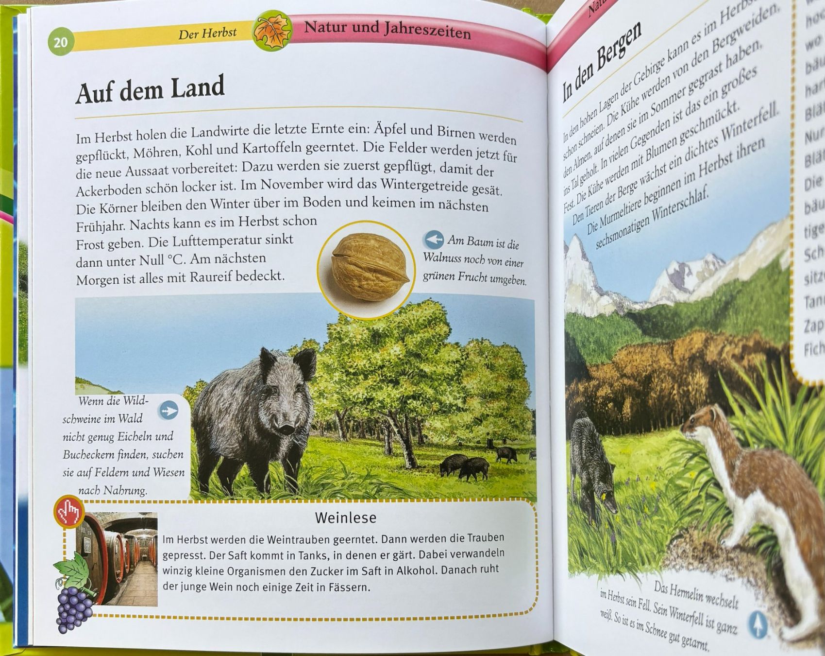 Libri: Natur- und Jahreszeiten – Nuovo (secondo la descrizione) da Sarnen venduto da Livres 4