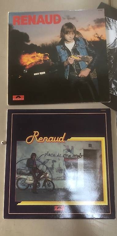 Dischi in vinile: Renaud 2x disques – Usato da Grangettes-Romont venduto da Guillaumegrangettes