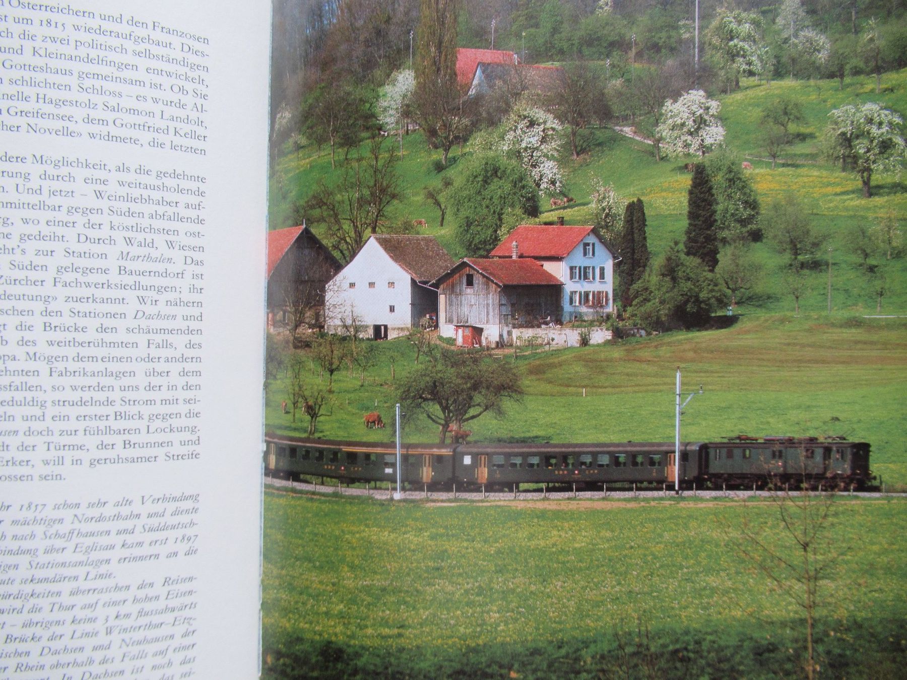 Libri: DIE SCHÖNSTEN EISENBAHNREISEN DURCH DIE SCHWEIZ – Usato da Moosseedorf venduto da haro01 8