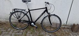 City Bike Diamant-Villiger