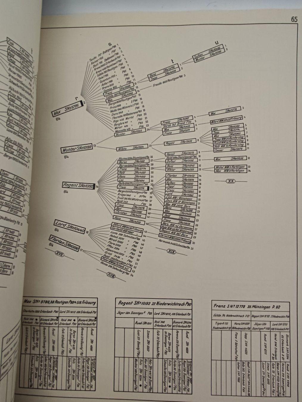 Libri: SCHWEIZERISCHES STAMMZUCHTBUCH – Usato da Goldach venduto da Gaip 4