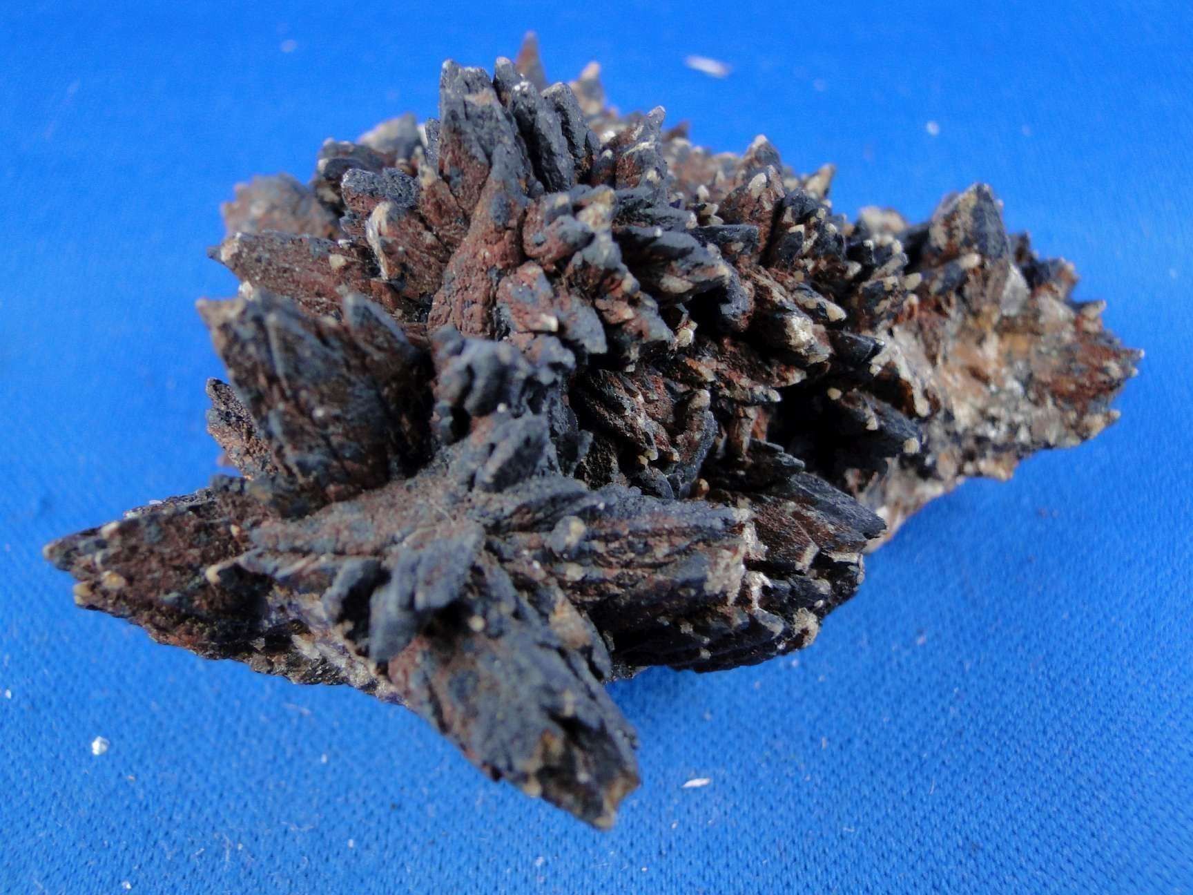 Minerali & Pietre curative: Chalcocite psm Calcit mit Malachit – Usato da Schinznach Bad venduto da Demerald 4