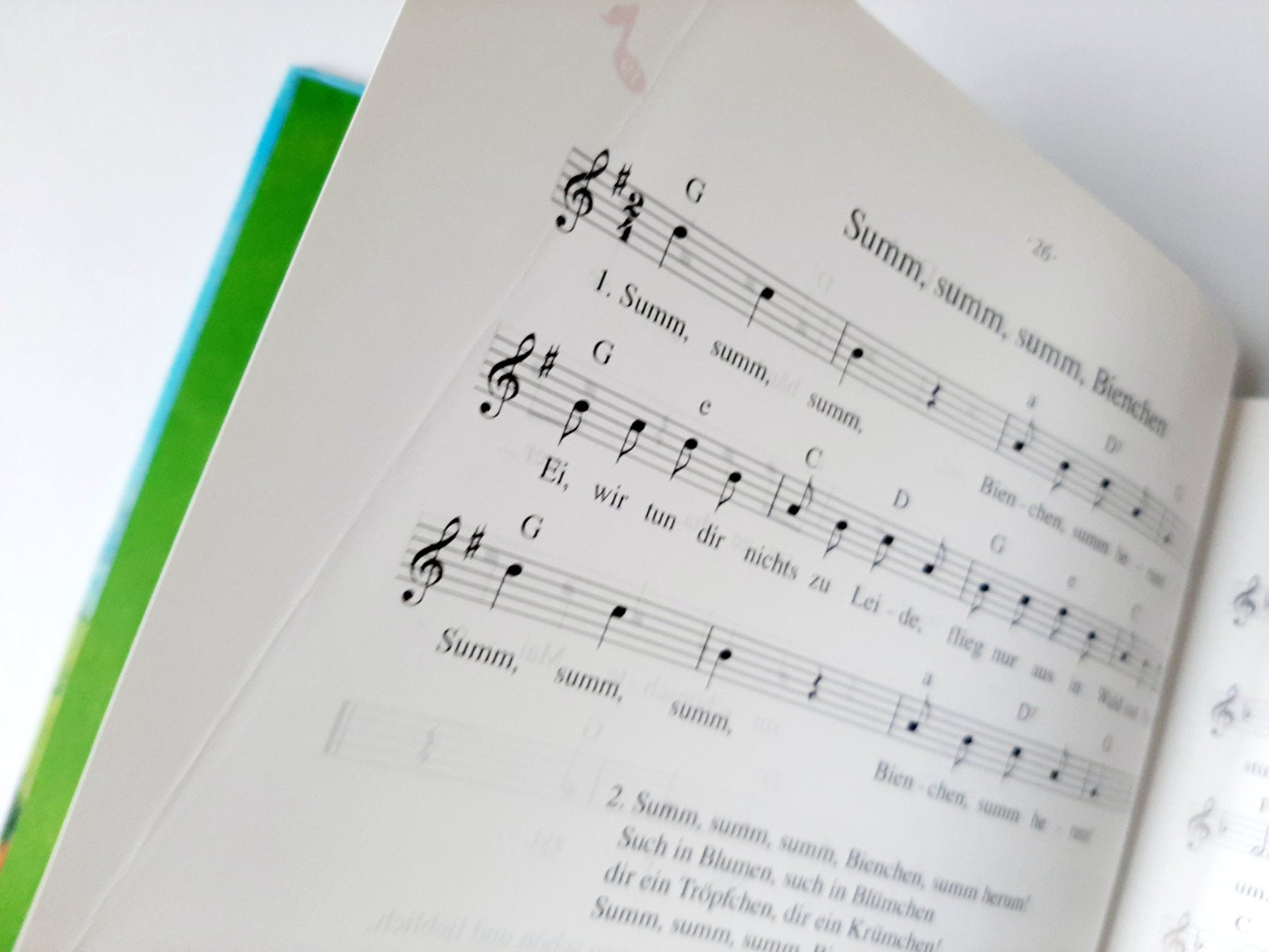 Libri: Bilderbuch Schwiizer Chinderlieder und Versli – Usato da Flaach venduto da maj_w_ 3