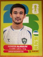 Panini UZB6