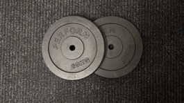 Hantelscheiben 2x20KG      