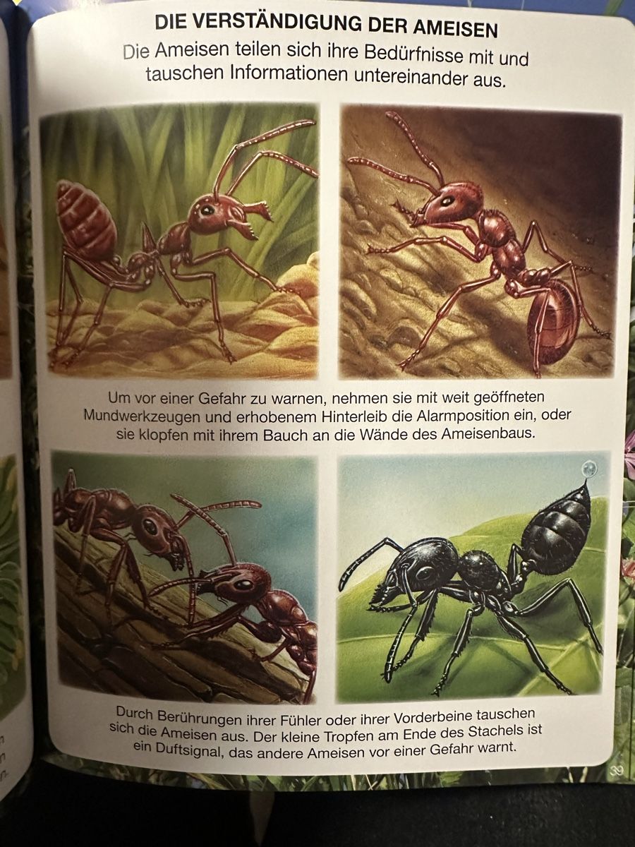 Livres: Kleine Tiere ..  Buch – D'occasion à Busswil par billib 2