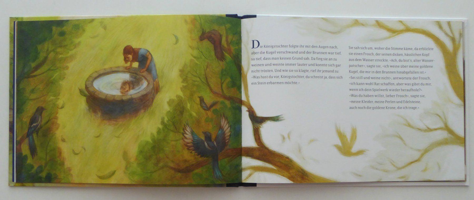Libri: Märlibuch der Froschkönig – Usato da Aesch BL venduto da Kauri1 3