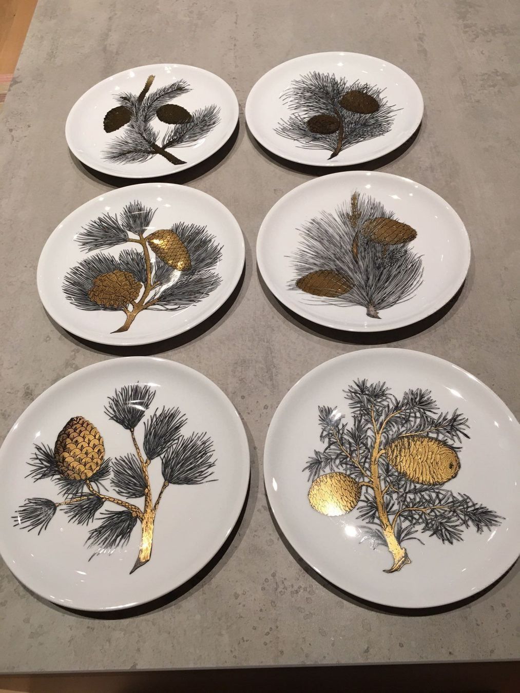 Fornasetti Piatti: Fornasetti Pigne Teller – Nuovo (secondo la descrizione) da Beinwil am See venduto da isole