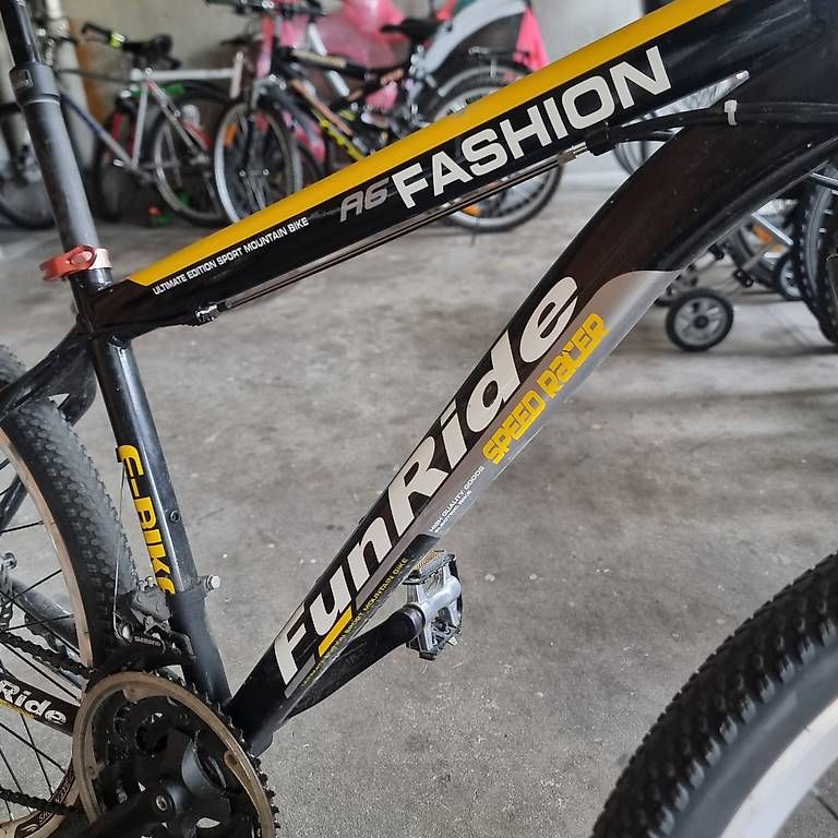 Biciclette: Fahrrad  – Usato da Aesch BL venduto da spillo1951 1