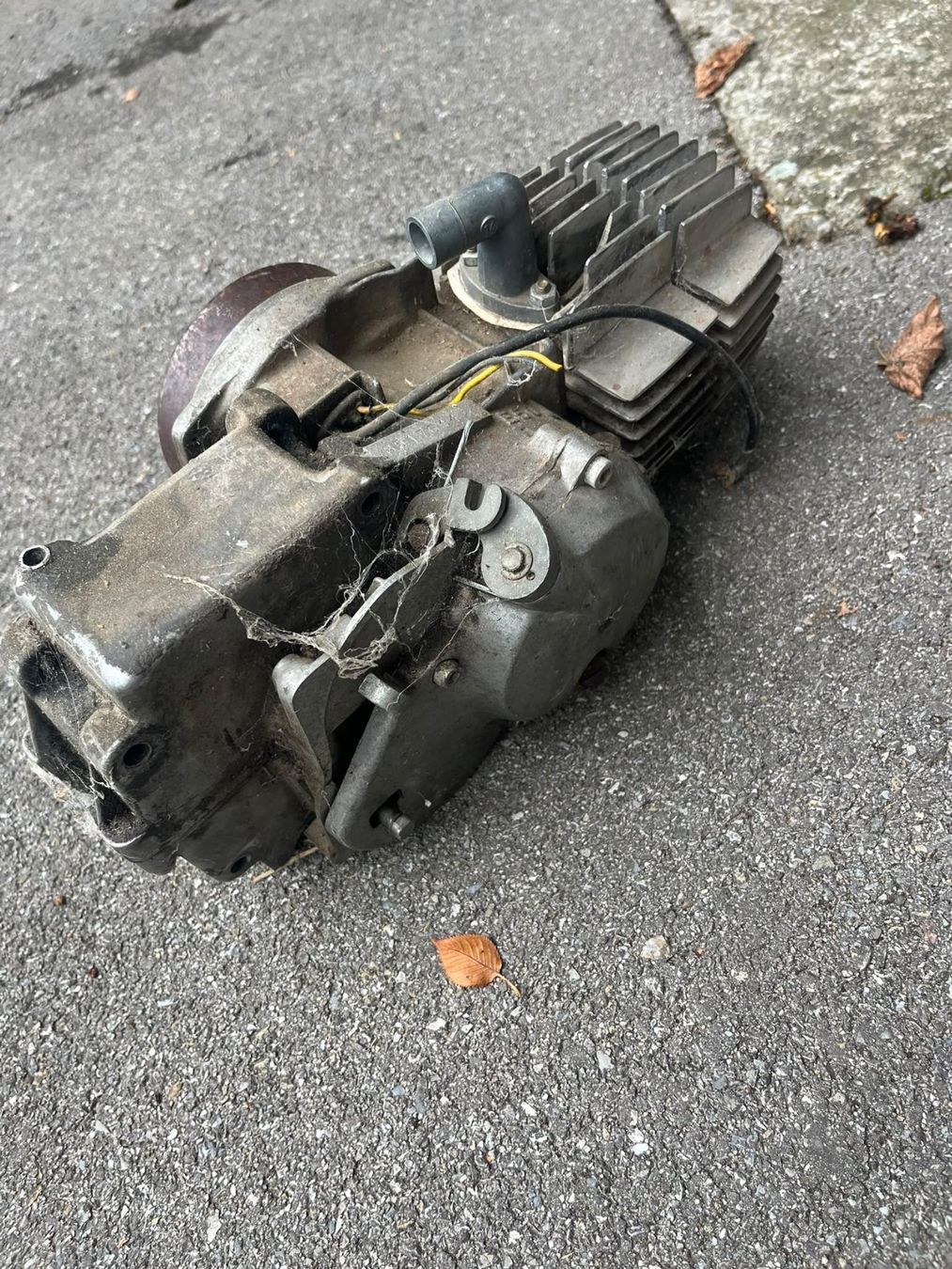 Puch Motori: Puch Maxi E50 4 Lager Motor – Usato da Krauchthal venduto da MaelVogt110 3