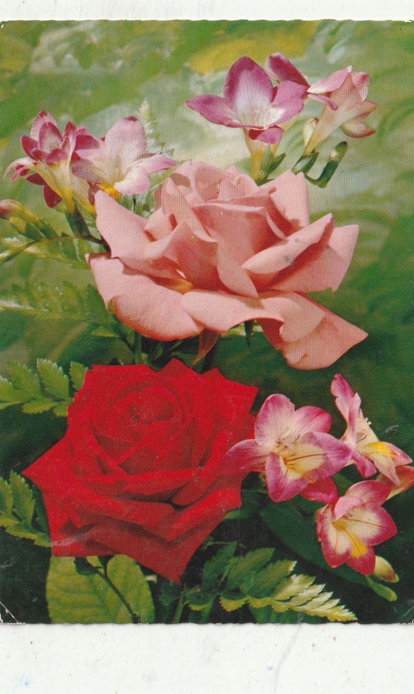 Ansichtskarten: Blumenkarte – Gebraucht aus Lumbrein von made02