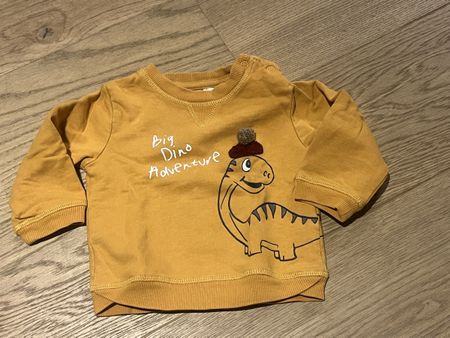 Baby Pullover Dino Motiv