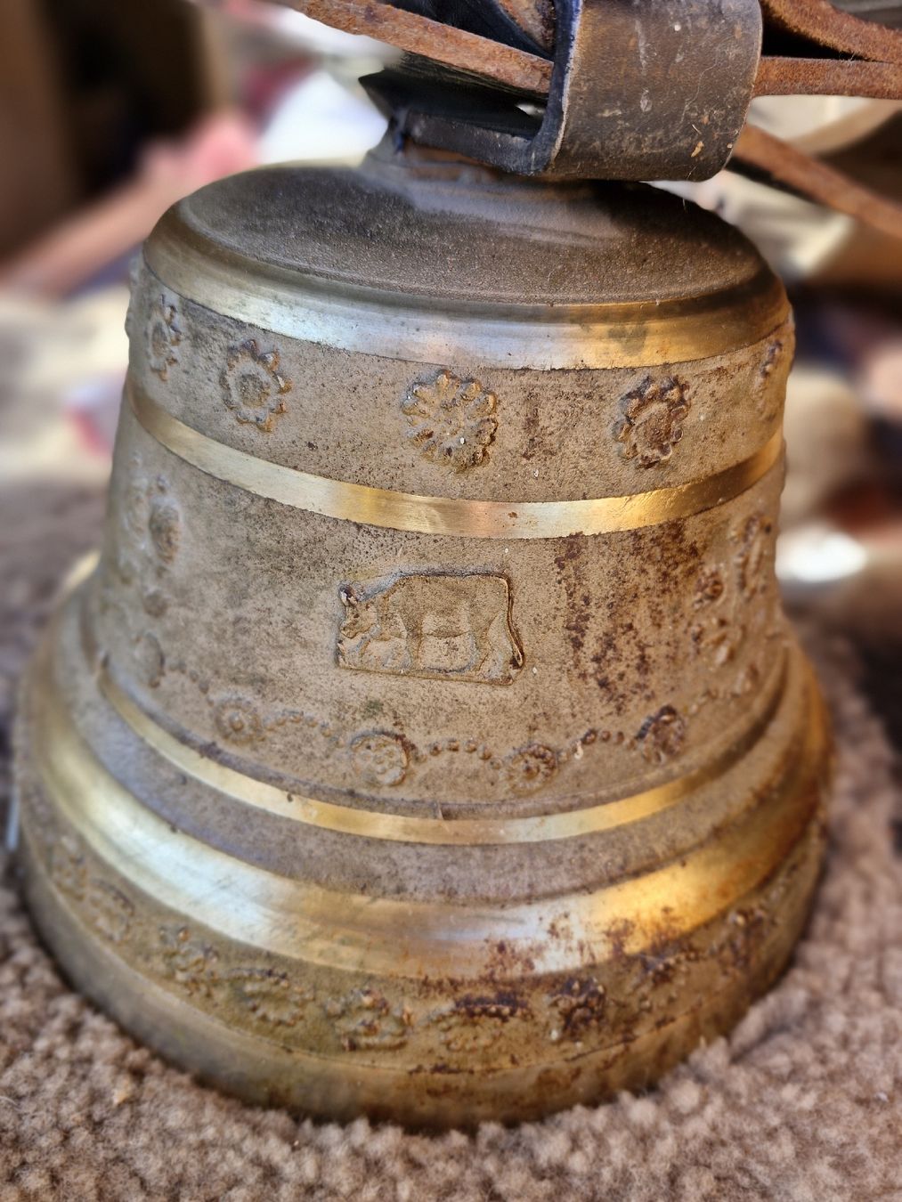 Campanacci mucche: Glocke Treichel – Usato da Guarda venduto da rue_bpd7 2