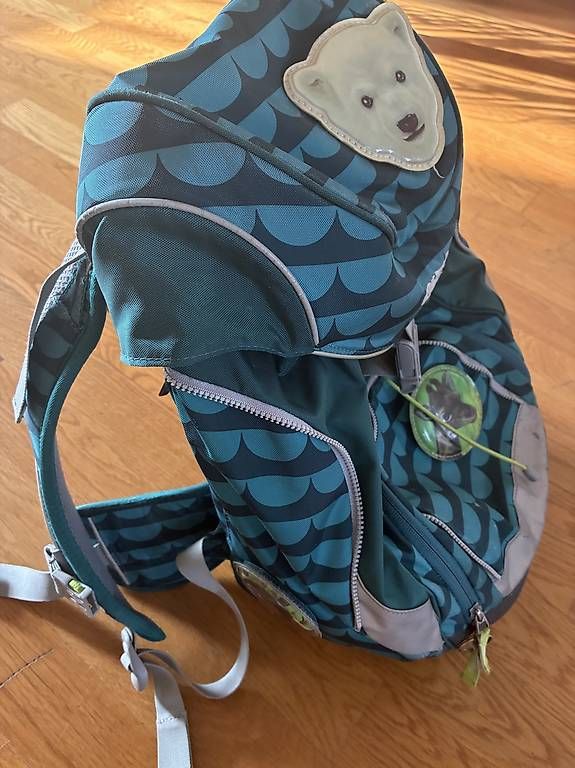 Ergobag Zaini: Ergobag Schulrucksack – Usato da Basel venduto da newbee1980 1