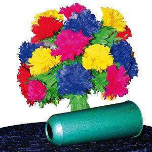 Giochi: Botania (Zaubertrick) – Nuovo e nell'imballaggio originale da Pfäffikon ZH venduto da Allerhandundgwand