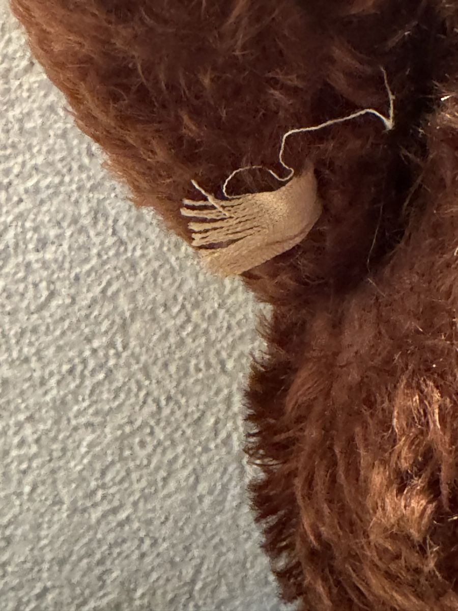 Steiff Giocattoli: Steiff Teddy – Usato da Binningen venduto da kal_5nsj 3