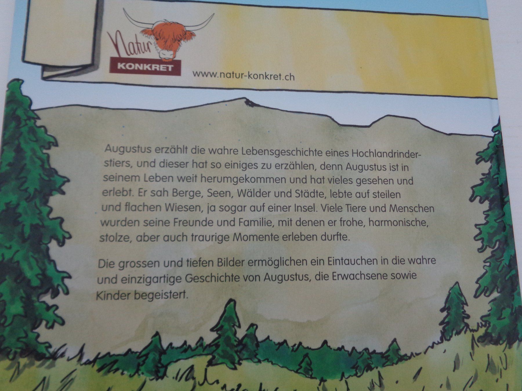 Libri: August 9575 - Fabian Hipp - Natur konkret – Usato da Chur venduto da Oregano1 1