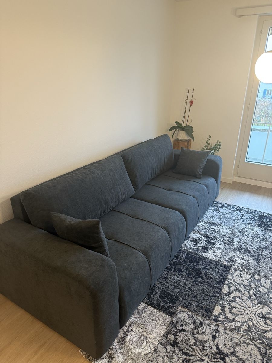 Divani: Sofa – Usato da Romanshorn venduto da Jilz