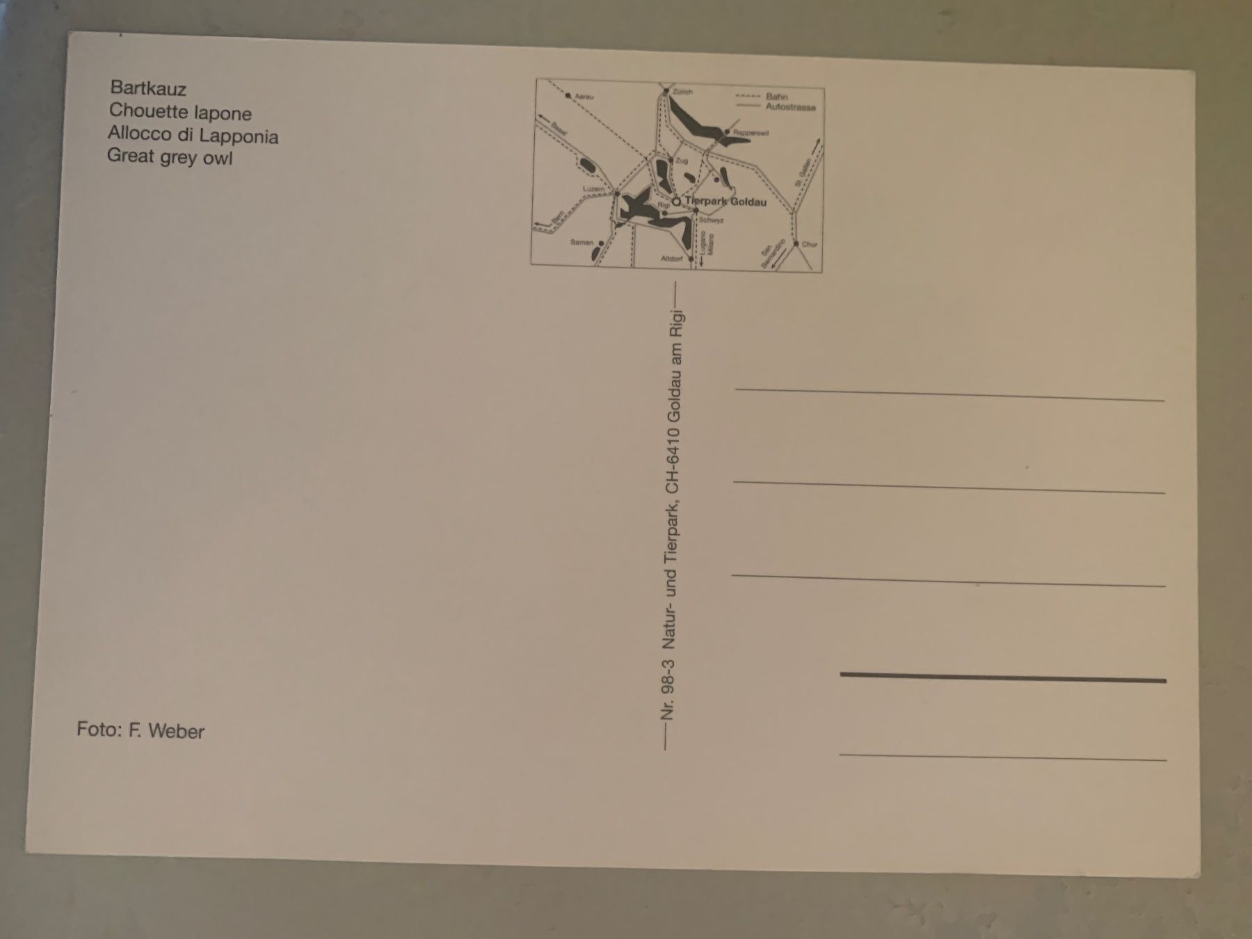 Cartoline postali: Bartkauz Postkarte – Usato da Wiggen venduto da Antoniotto 1