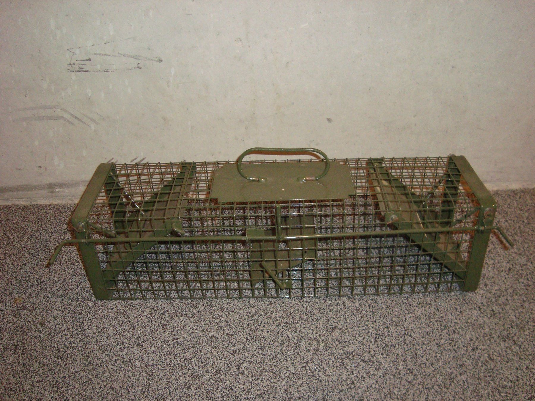 Cages, transport & sécurité: Lebendefalle – D'occasion à Walzenhausen par Totenkopf0