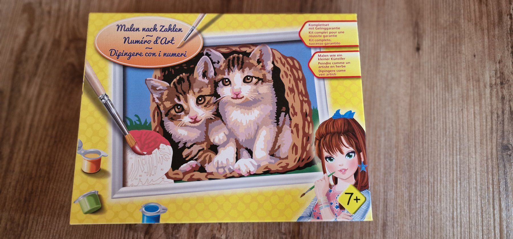 Kit bricolage: Malen nach Zahlen – Usato da Schiers venduto da rom_ch7g