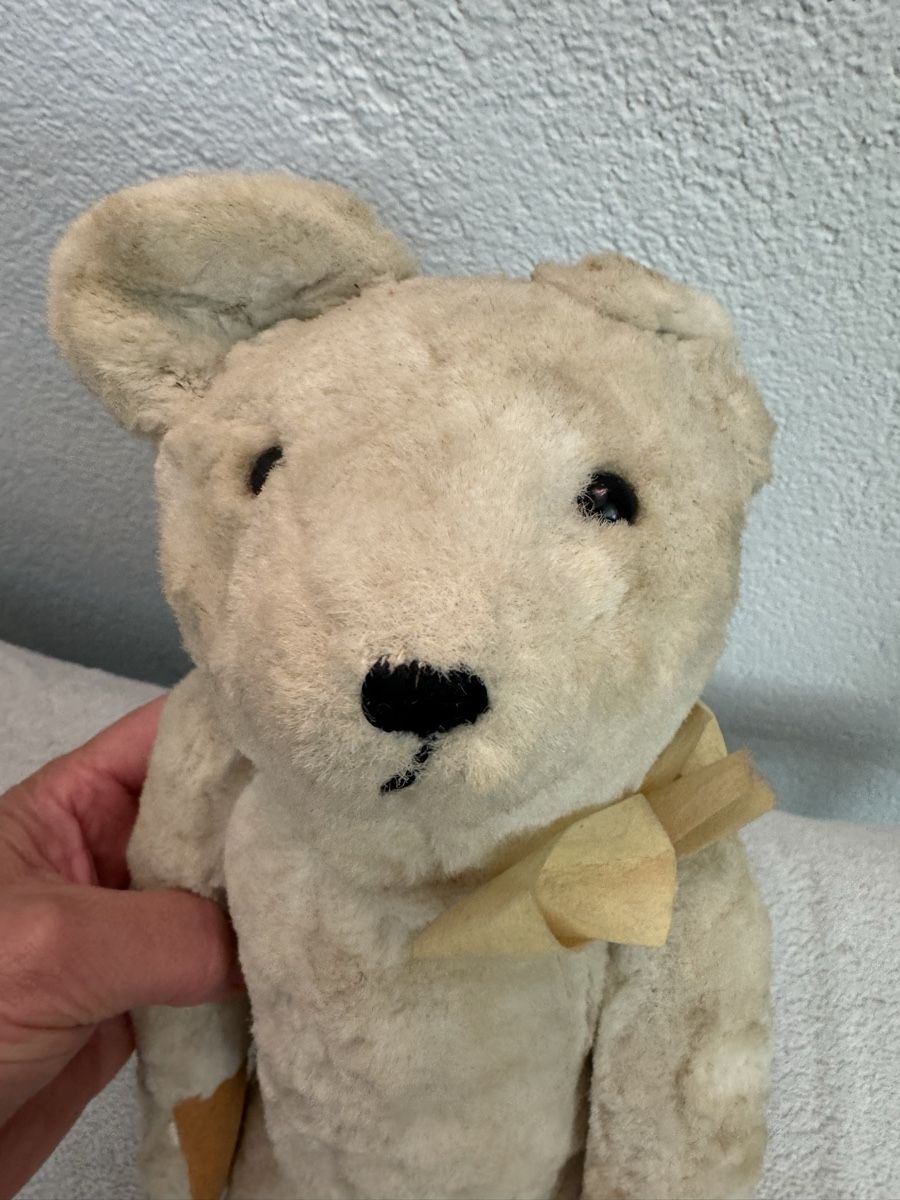 Giocattoli: Teddybär – Usato da Binningen venduto da kal_5nsj 4