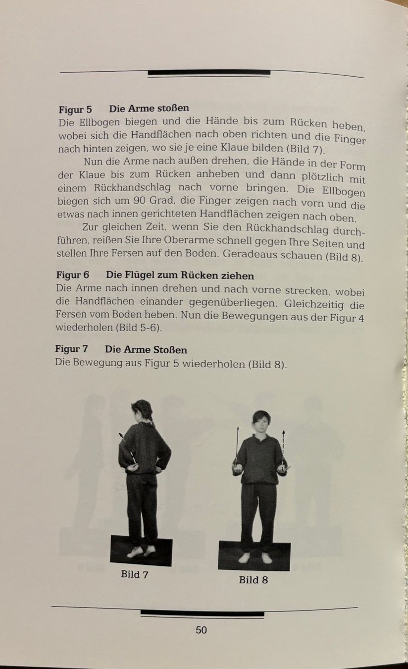 Libri: Die Praxis des Qigong – Nuovo (secondo la descrizione) da Sarnen venduto da Livres 6