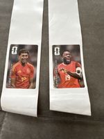 Coca cola panini Sticker