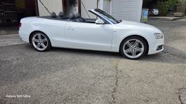 Audi A5 Cabrio 2.0 TFSI S-Line quattro Automatik mit Mfk