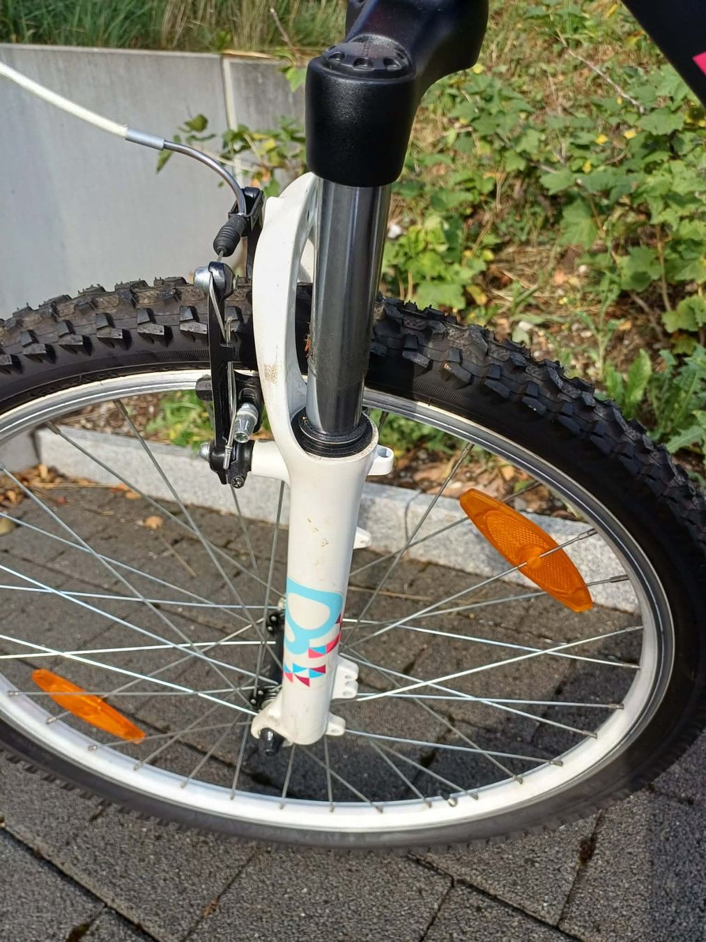 Biciclette: Cyngus Fahrrad – Usato da Wil SG venduto da Berg1-Bob 5