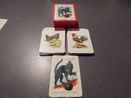 Schwarzer Peter, Bielefelder, älter