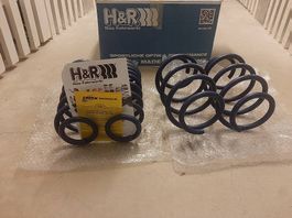 H-R SportFedern VW Tiguan R-Line Seat Skoda