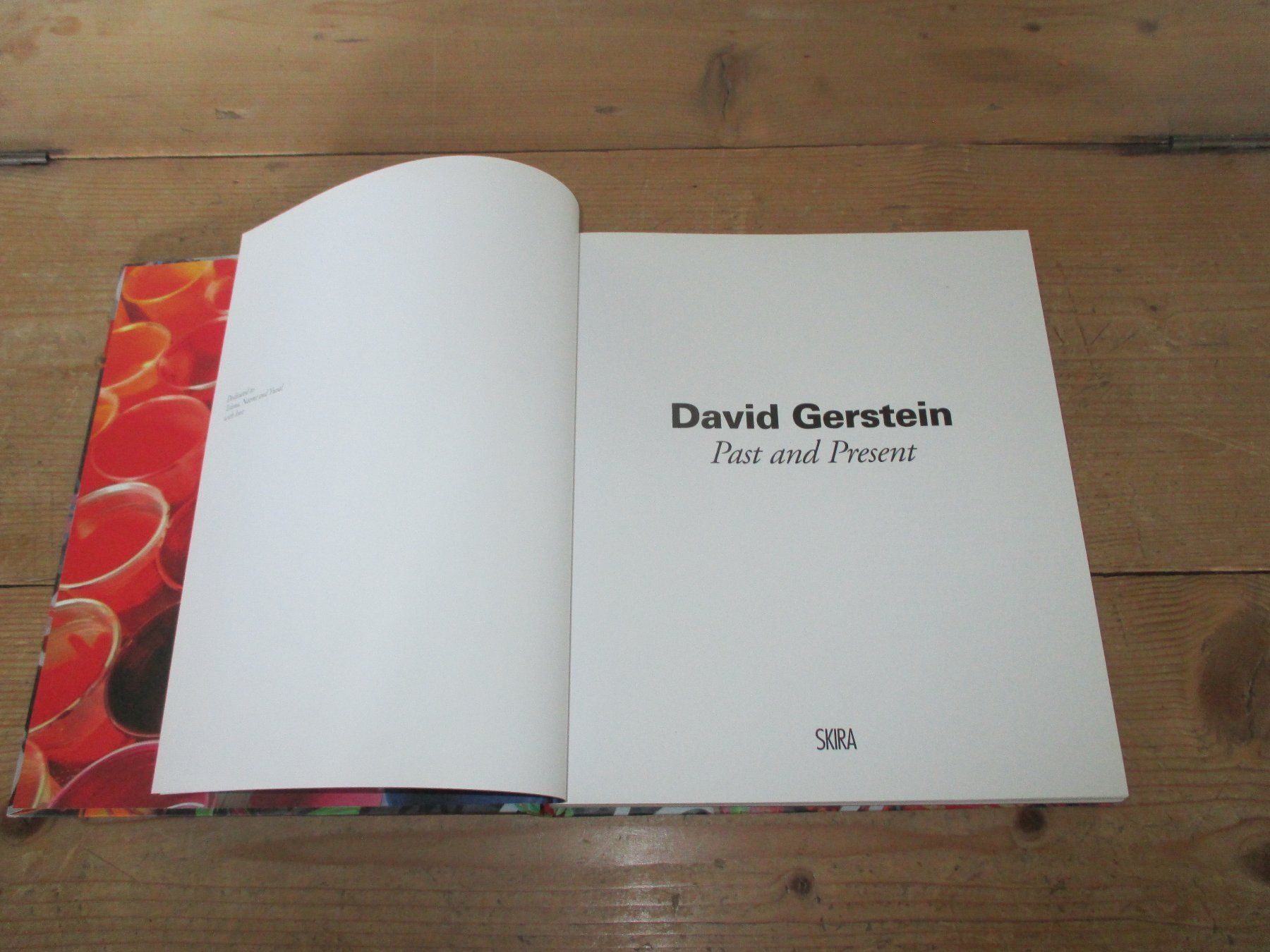 Libri: David Gerstein "Past and Present" Kunstbuch – Usato da Flims - Dorf venduto da Stagediver 1