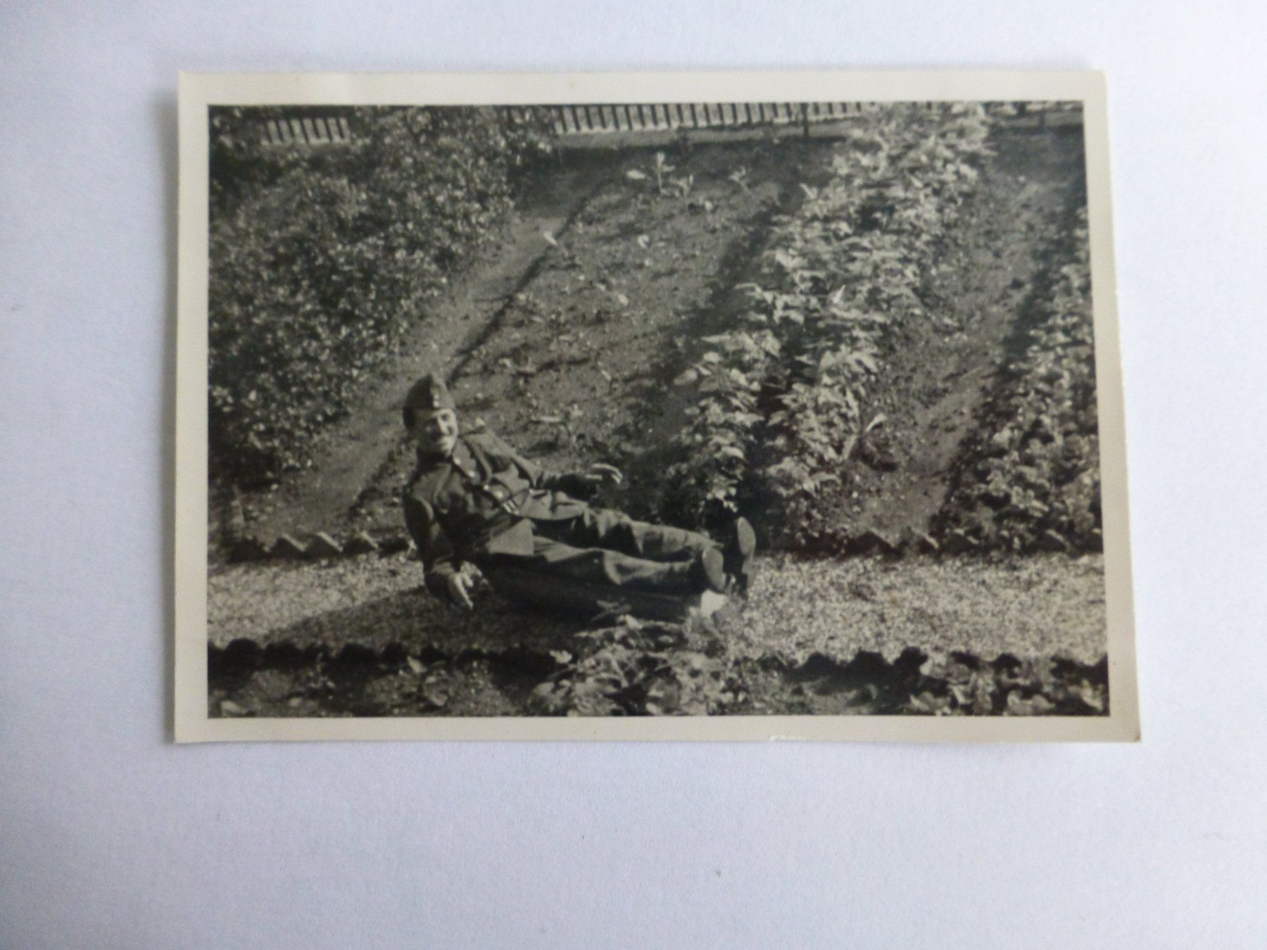 Poster & Bilder: Militär Foto – Gebraucht aus Bettlach von 1saurer
