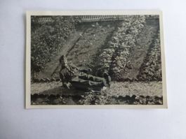 Militär Foto