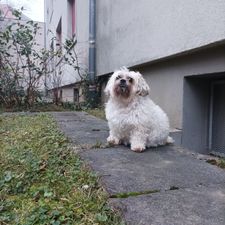 Profile image of MoZzareLla90