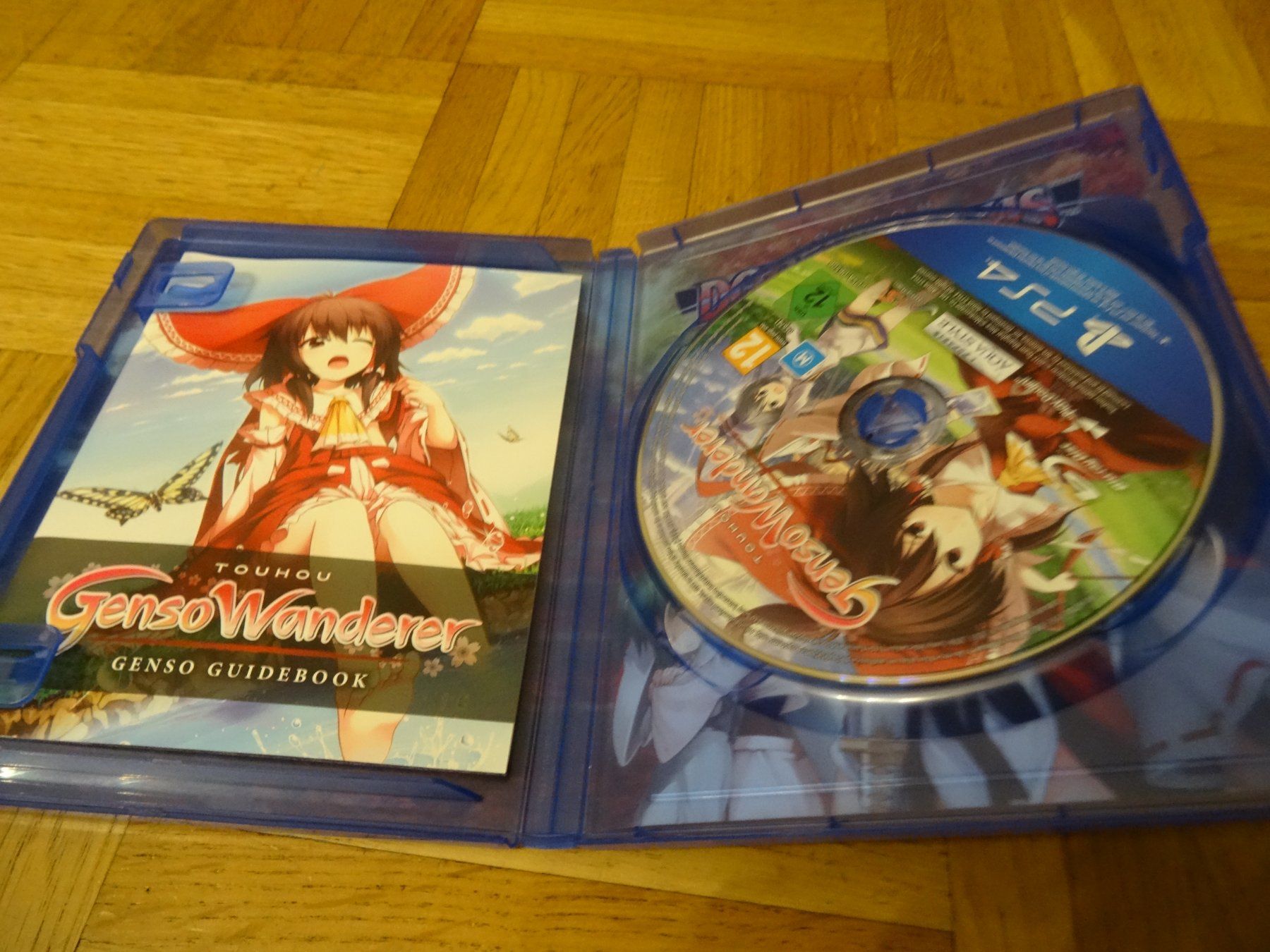 Sony Giochi: Touhou Genso Wanderer PS4 – Usato da Olten venduto da Disc-Ausverkauf 1