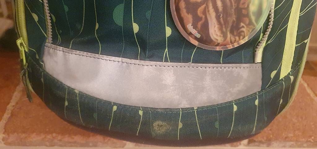 Ergobag Zaini: Ergobag Dschungel mit Zubehör – Usato da Uitikon Waldegg venduto da sgrimmer 1