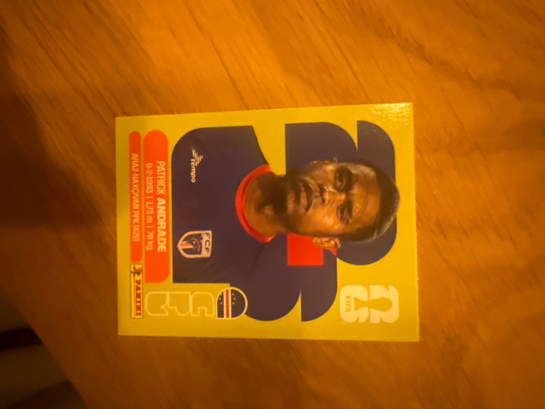 Panini Carte collezionabili: Panini – Usato da Langnau i. E. venduto da Acrjl