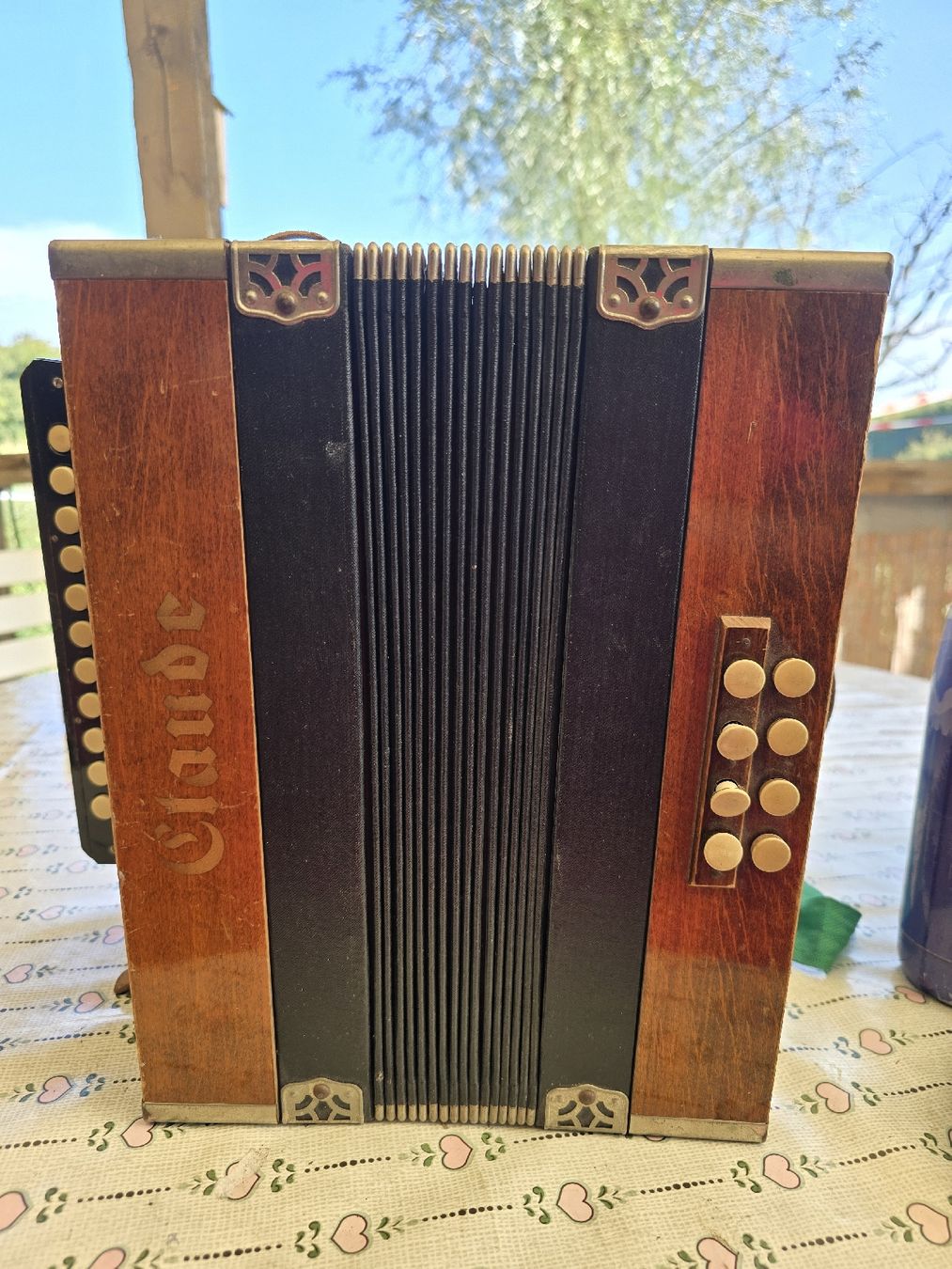 Instruments de musique: CLAUDE SCALA Holzakkoordion gebraucht – D'occasion à Agasul par ire_h9wl 6