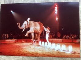 Circus Knie Foto 1983