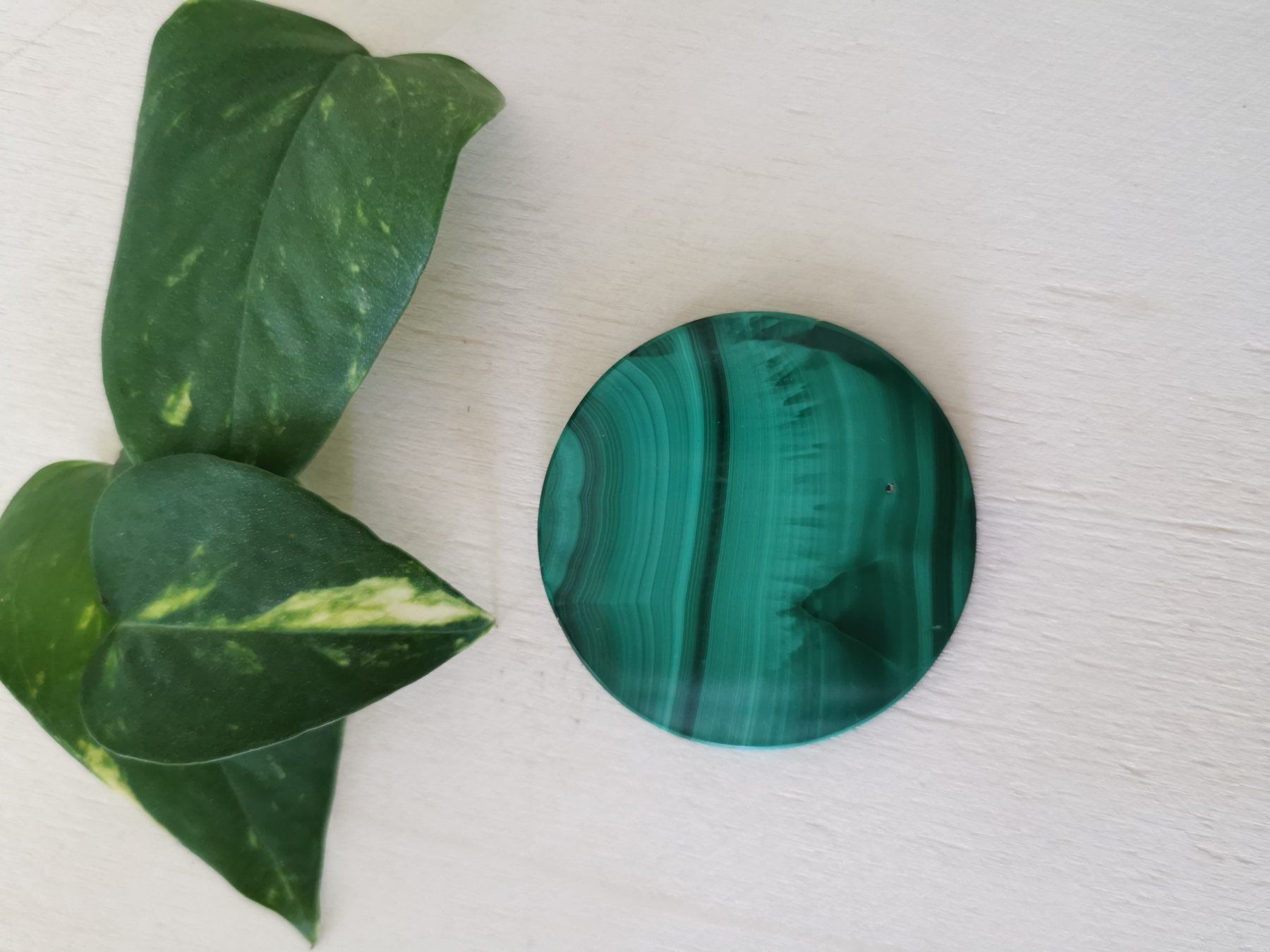 Minerali & Pietre curative: GROSSE Malachite Scheibe,  TOP-Qualität / Sondererkauf – Nuovo e nell'imballaggio originale da Dierikon venduto da Buntspecht-10 3