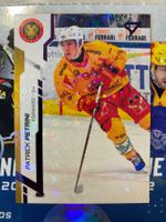 National League - Purple - Patrick Petrini - SCL