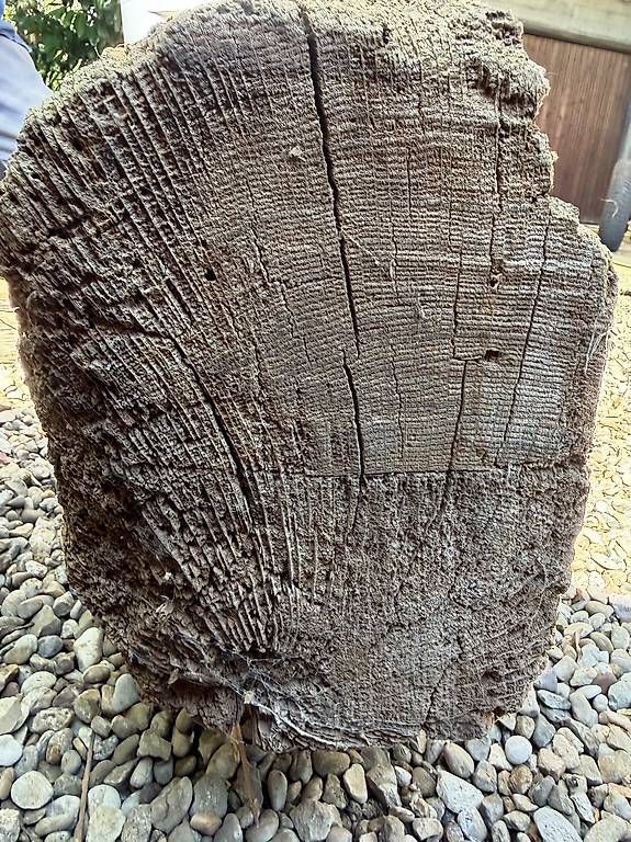 Holzartikel: Eichenbalken – Gebraucht aus Ruswil von eds-engdrehstil