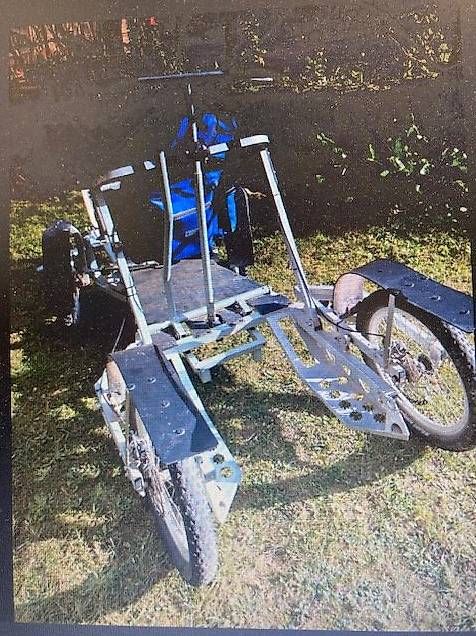 Rimorchi: KART DYCK LENNO 60 pour chiens – Usato da Aigle venduto da tac_2hkp 2